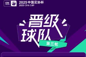 足协杯16强对阵：海港vs申花上演德比，泰山大战蓉城，英博vs国安